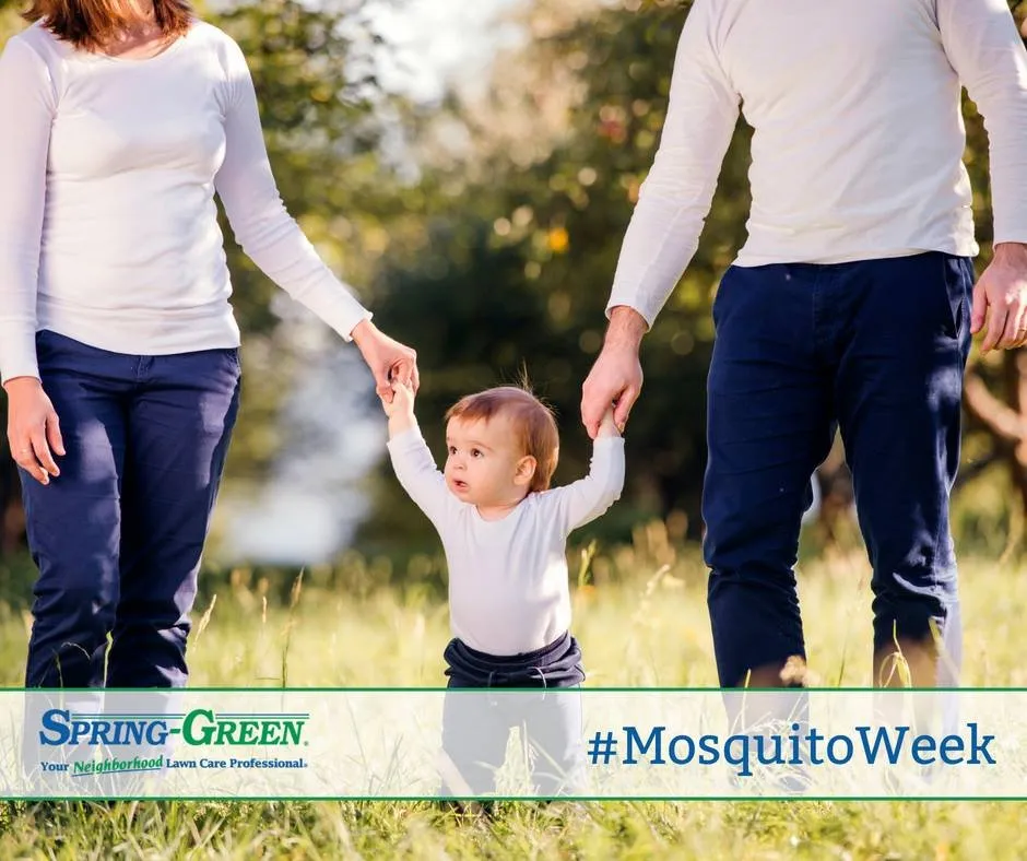 Trusted lawn care service experts serving Huntsville, AL - SpringGreen