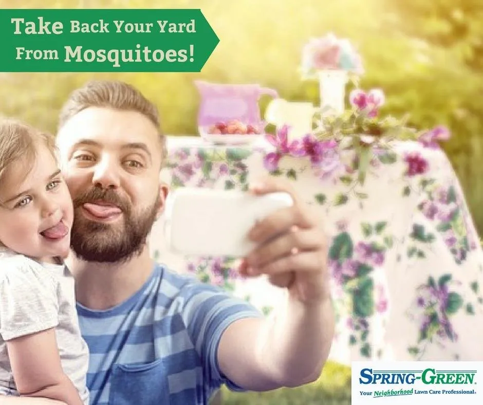 Reliable residential landscaping in Huntsville, AL - SpringGreen