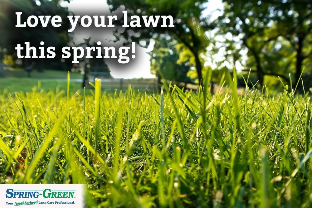 Top-rated residential landscaping in Huntsville, AL - SpringGreen