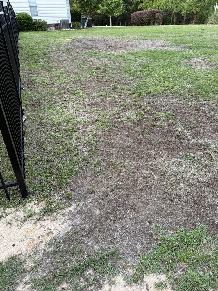 Affordable lawn mowing service for homes across Irmo, SC - SpringGreen