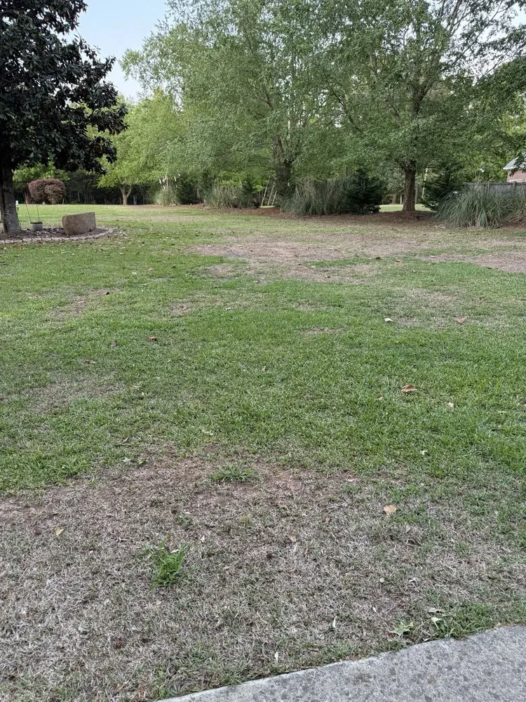 Custom yard maintenance for beautiful yards in Irmo, SC by SpringGreen