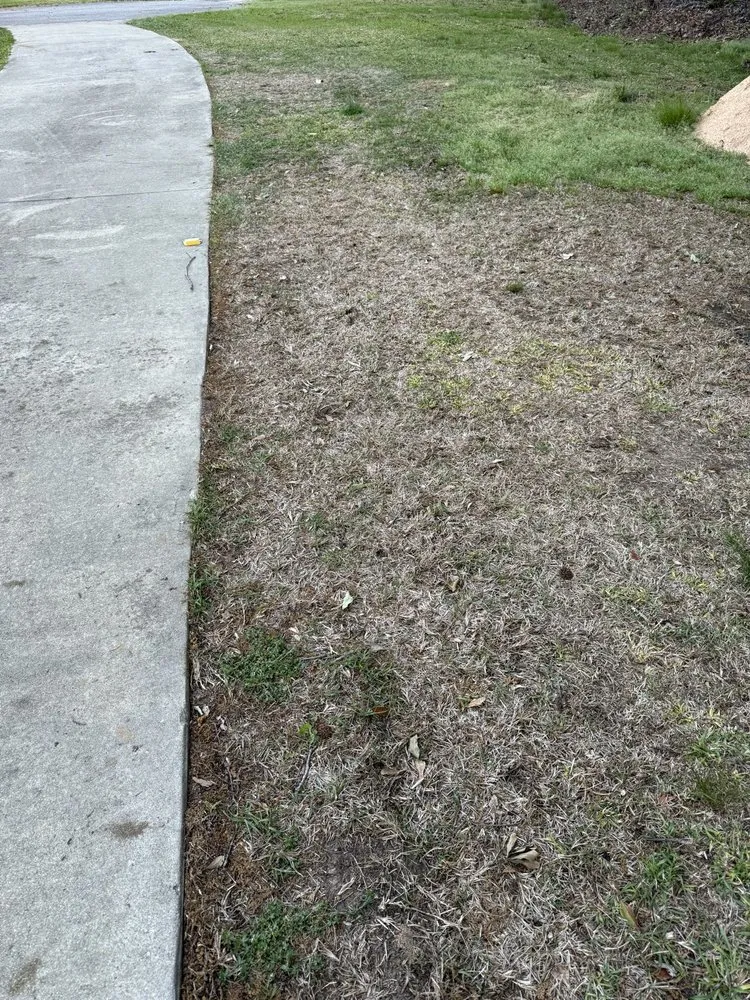 Affordable landscaping services for homes across Irmo, SC - SpringGreen