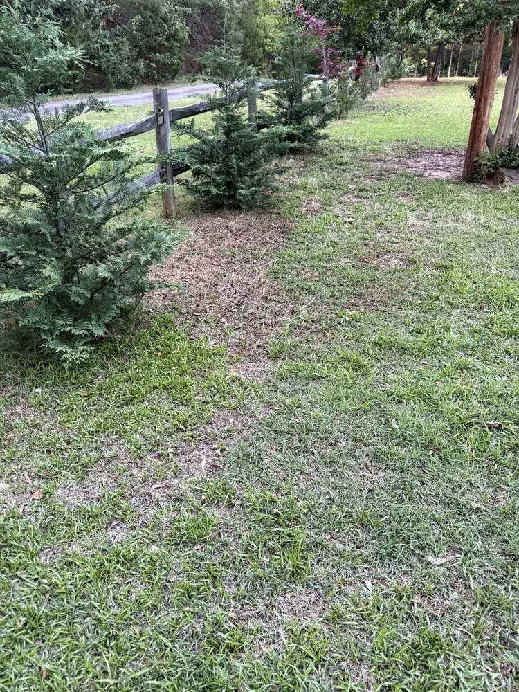 Professional lawn care service with custom design across Irmo, SC - SpringGreen