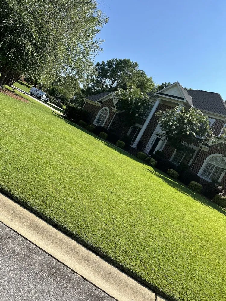 Professional landscape design experts serving Irmo, SC - SpringGreen