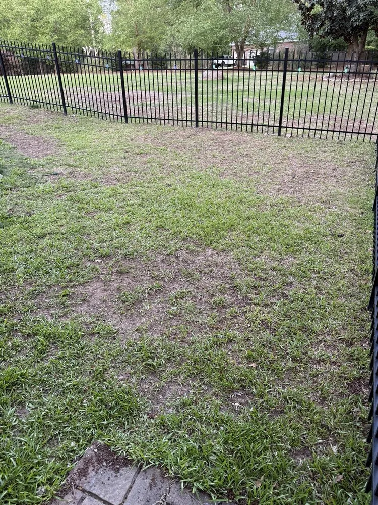 Reliable lawn care service for beautiful yards across Irmo, SC - SpringGreen