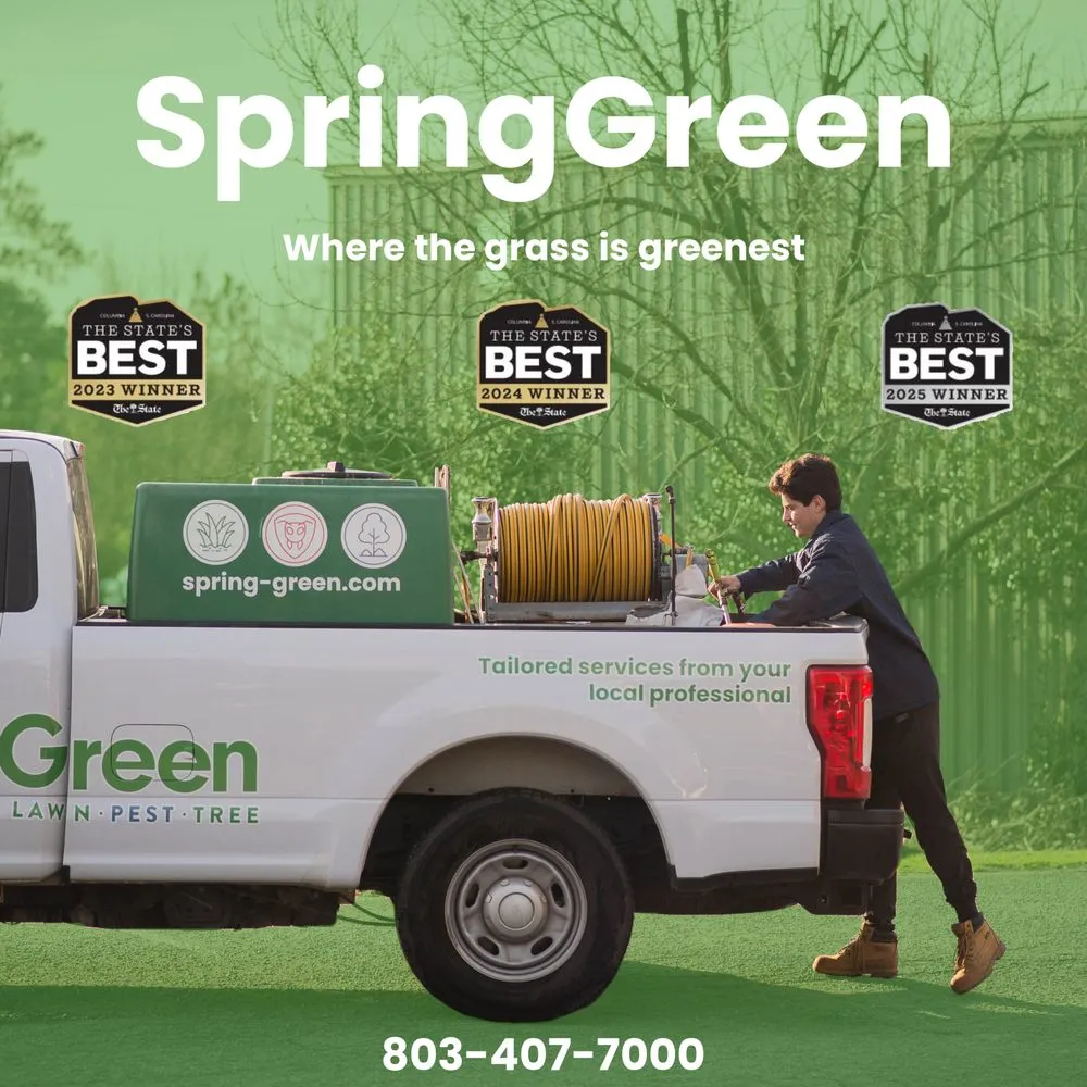 Affordable landscape design experts serving Irmo, SC - SpringGreen