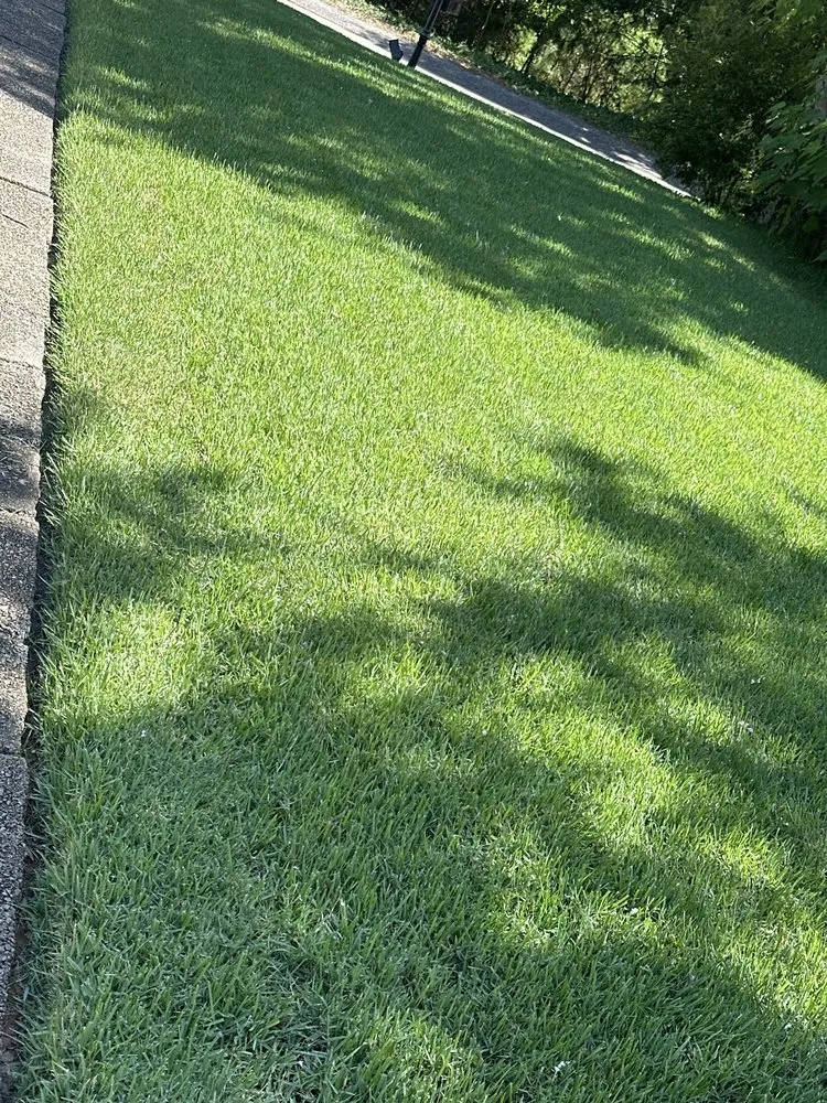 Local garden landscaping in Irmo, SC by SpringGreen