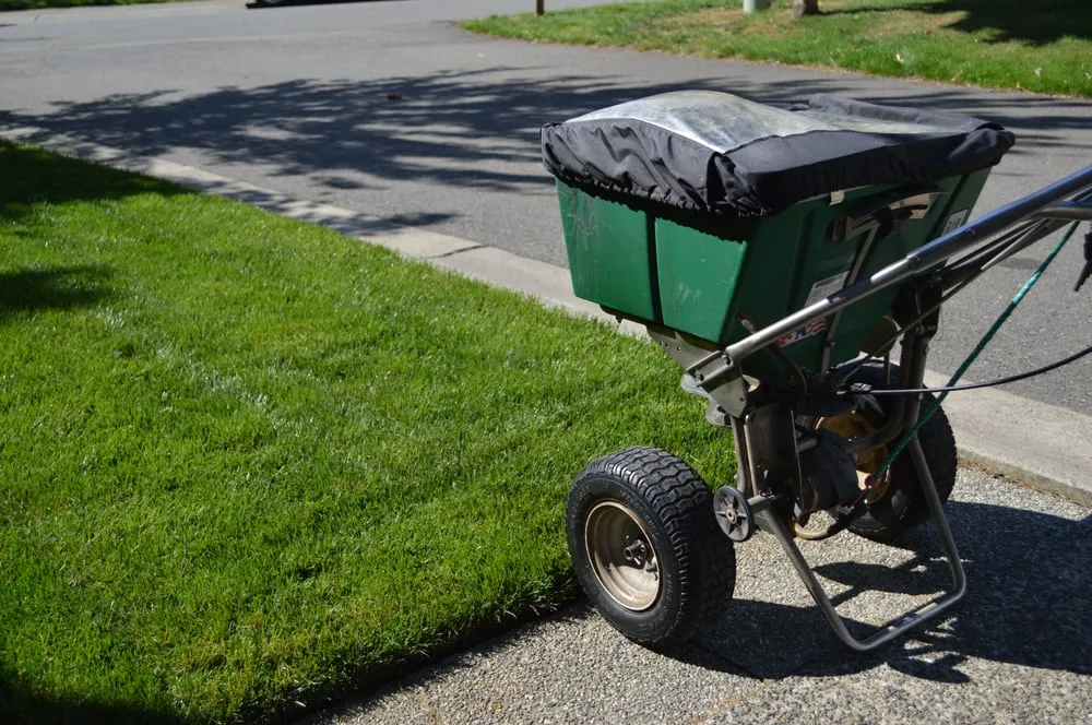 Custom garden landscaping with custom design across Kenmore, WA - SpringGreen