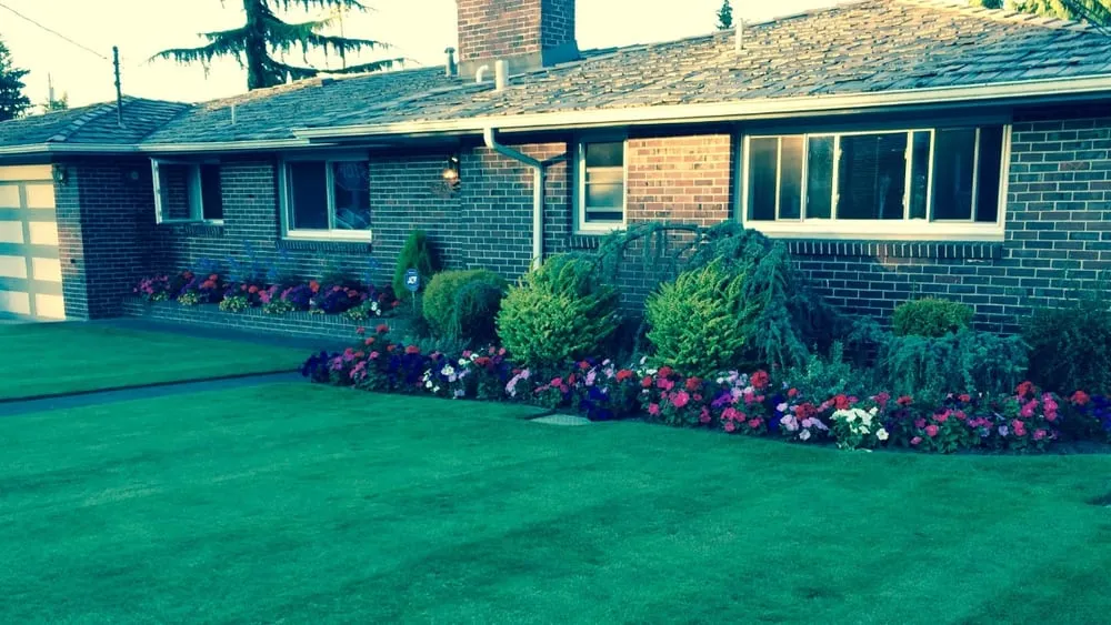 Affordable garden landscaping experts serving Kenmore, WA - SpringGreen