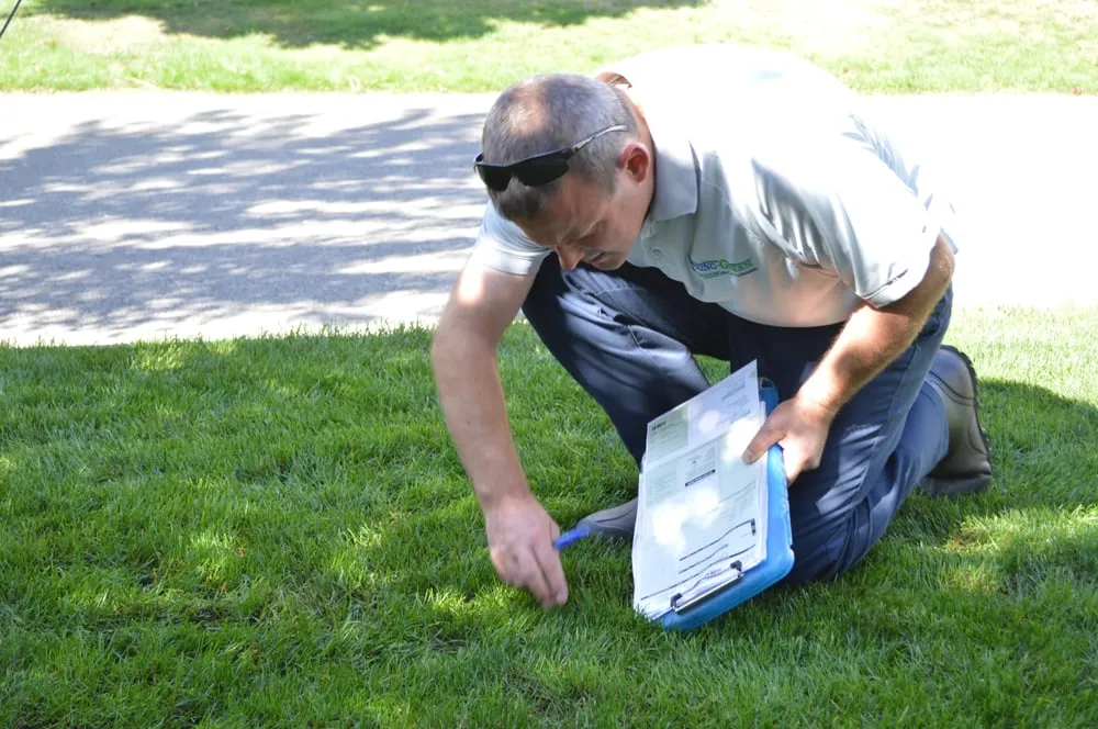 Affordable lawn care service experts serving Kenmore, WA - SpringGreen