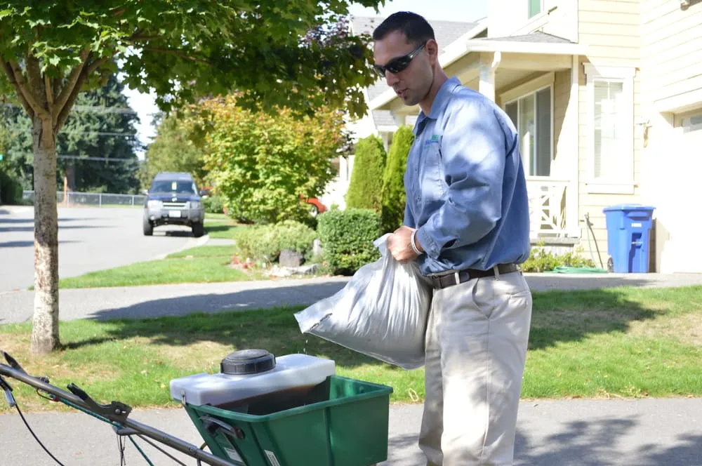 Expert landscaping services in Kenmore, WA - SpringGreen