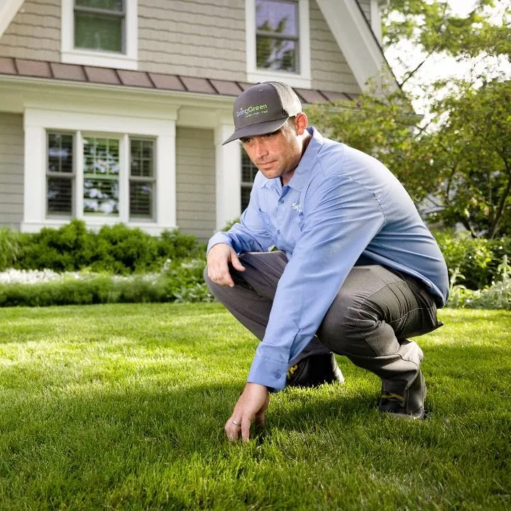 Professional yard maintenance for homes across Kersey, PA - SpringGreen