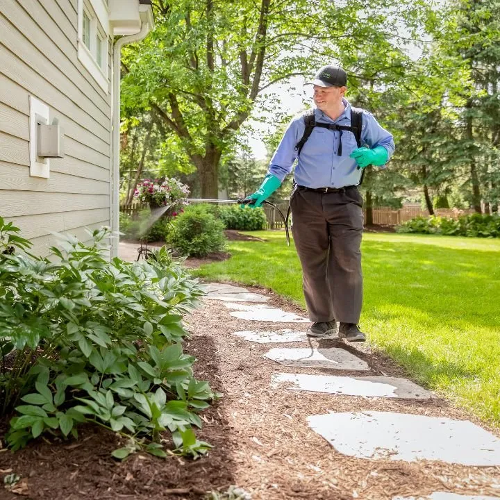 Top-rated landscape installation for residential properties in Kersey, PA by SpringGreen