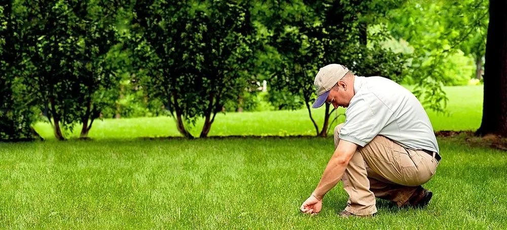 Expert outdoor landscaping experts serving Marietta, OH - SpringGreen