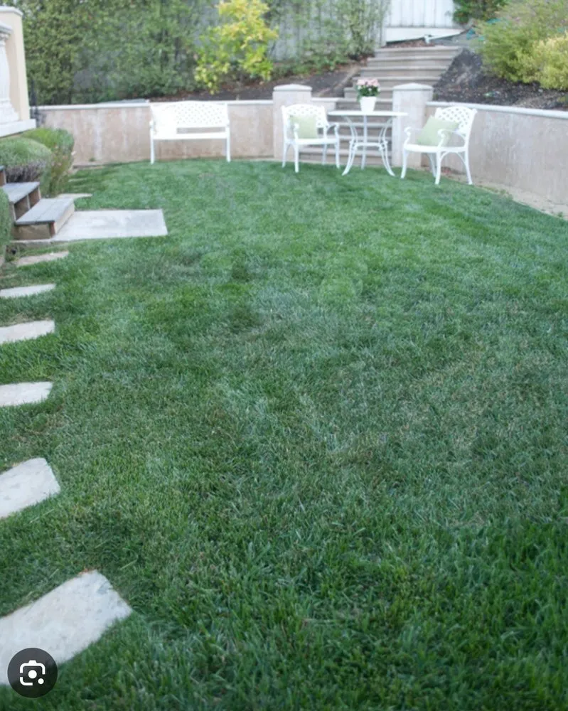 Affordable residential landscaping for residential properties in Matthews, NC by SpringGreen