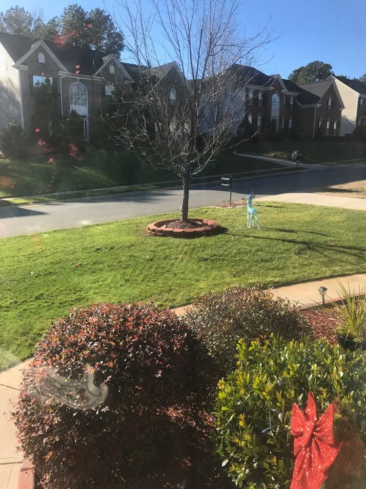 Expert landscape installation with custom design across Matthews, NC - SpringGreen