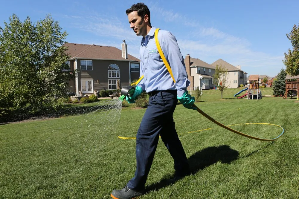 Reliable yard cleanup service for beautiful yards across McKinney, TX - SpringGreen