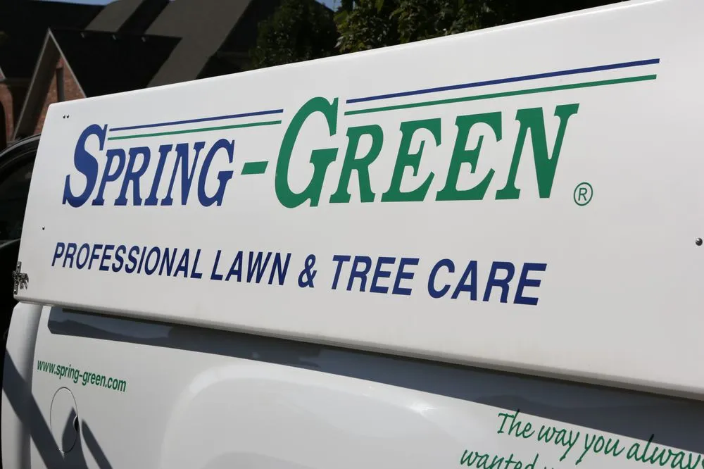 Professional yard cleanup service in McKinney, TX - SpringGreen