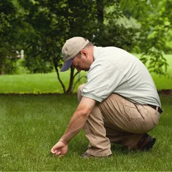 Reliable residential landscaping experts serving Middletown, PA - SpringGreen