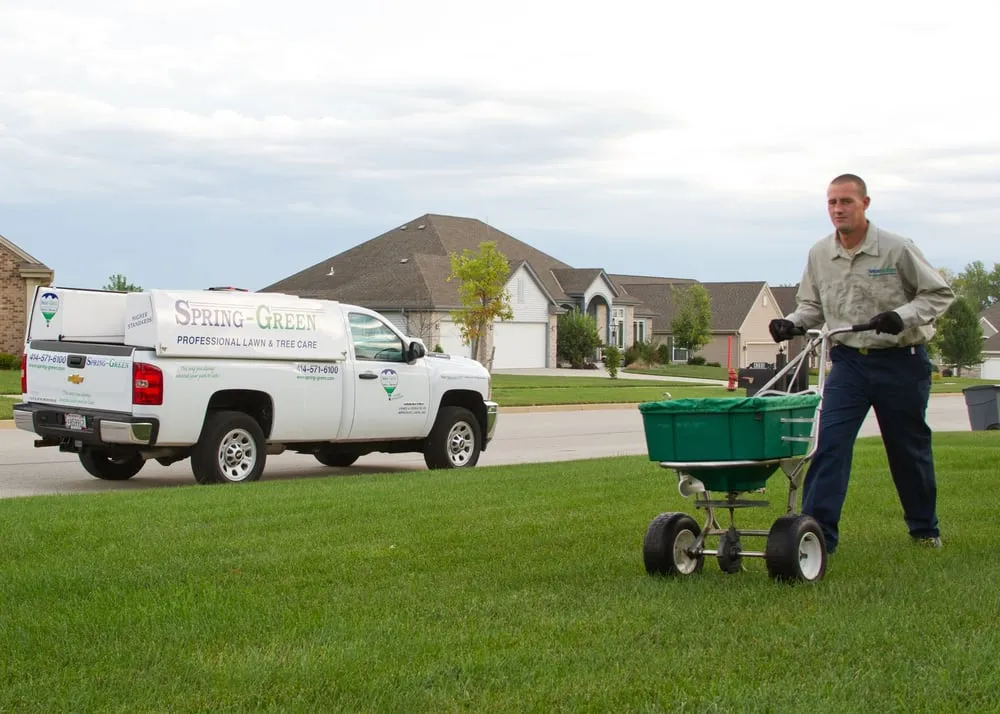 Affordable landscape installation in Milwaukee, WI - SpringGreen