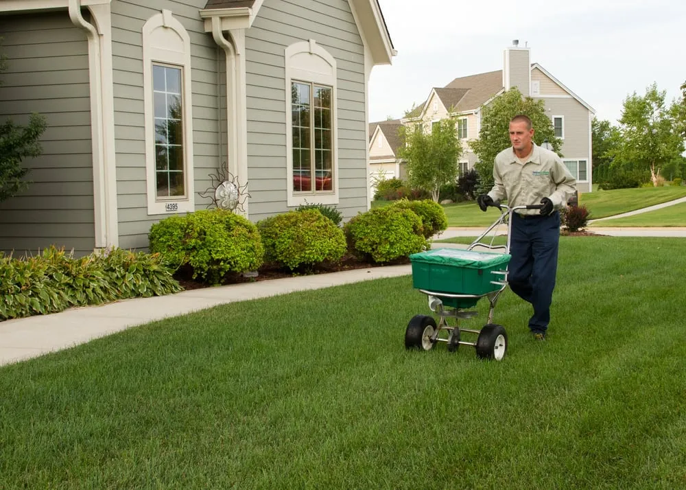Expert landscaping services experts serving Milwaukee, WI - SpringGreen