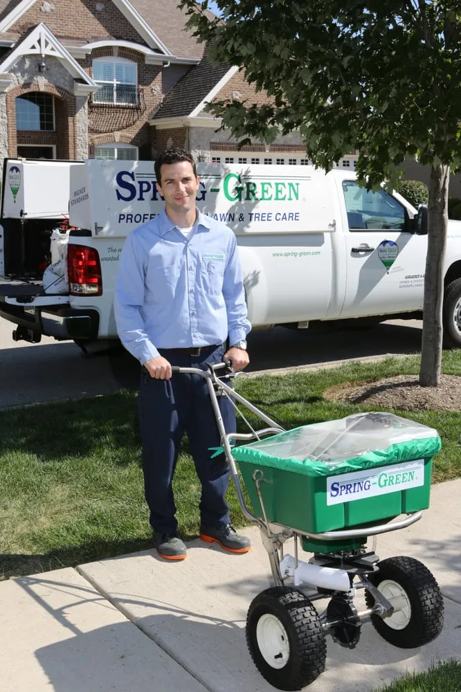 Local outdoor landscaping for beautiful yards across Mokena, IL - SpringGreen