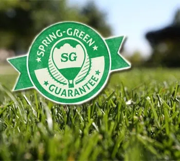 Local landscape design with custom design in Mokena, IL by SpringGreen