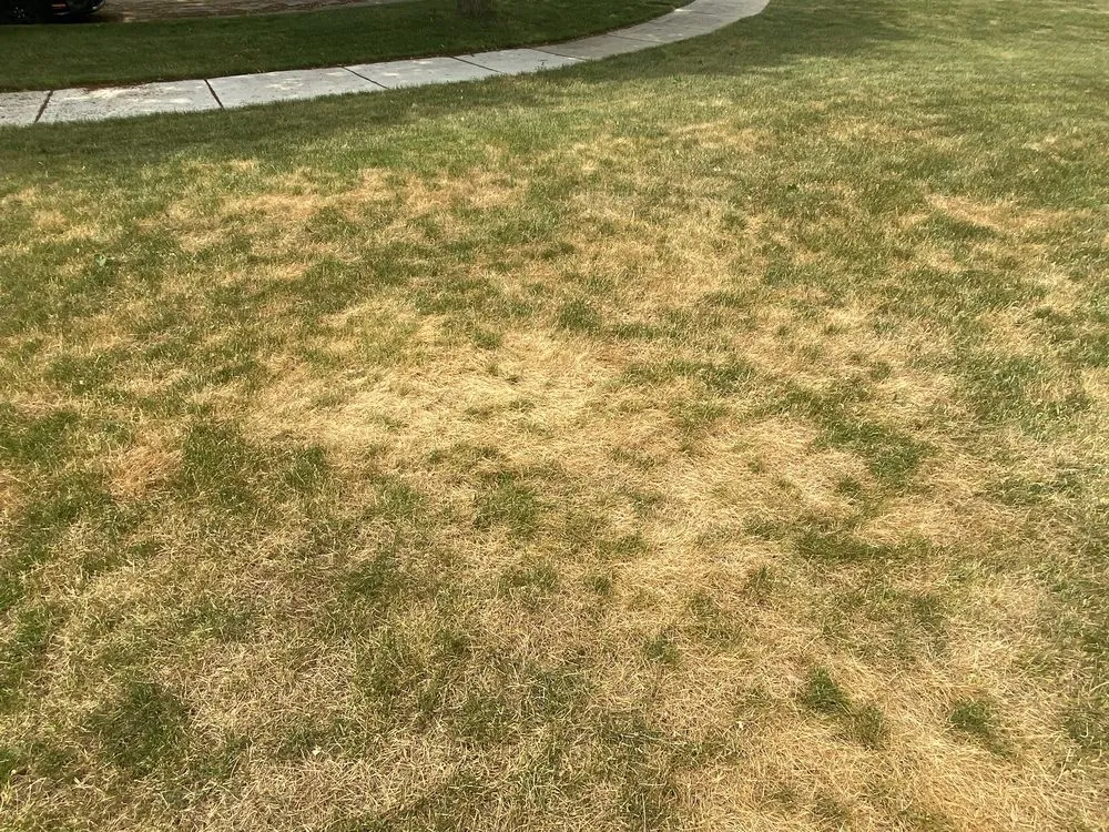 Local garden landscaping in Mokena, IL by SpringGreen