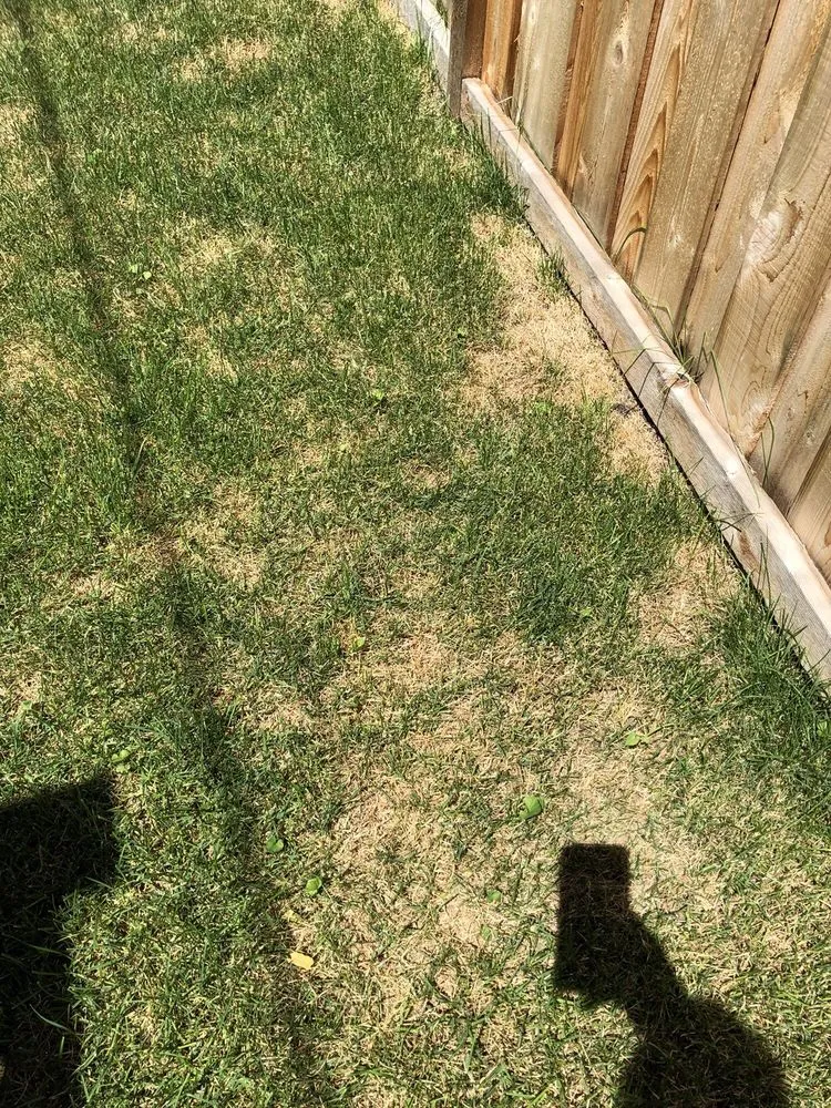 Reliable residential landscaping for outdoor upgrades across Mokena, IL - SpringGreen