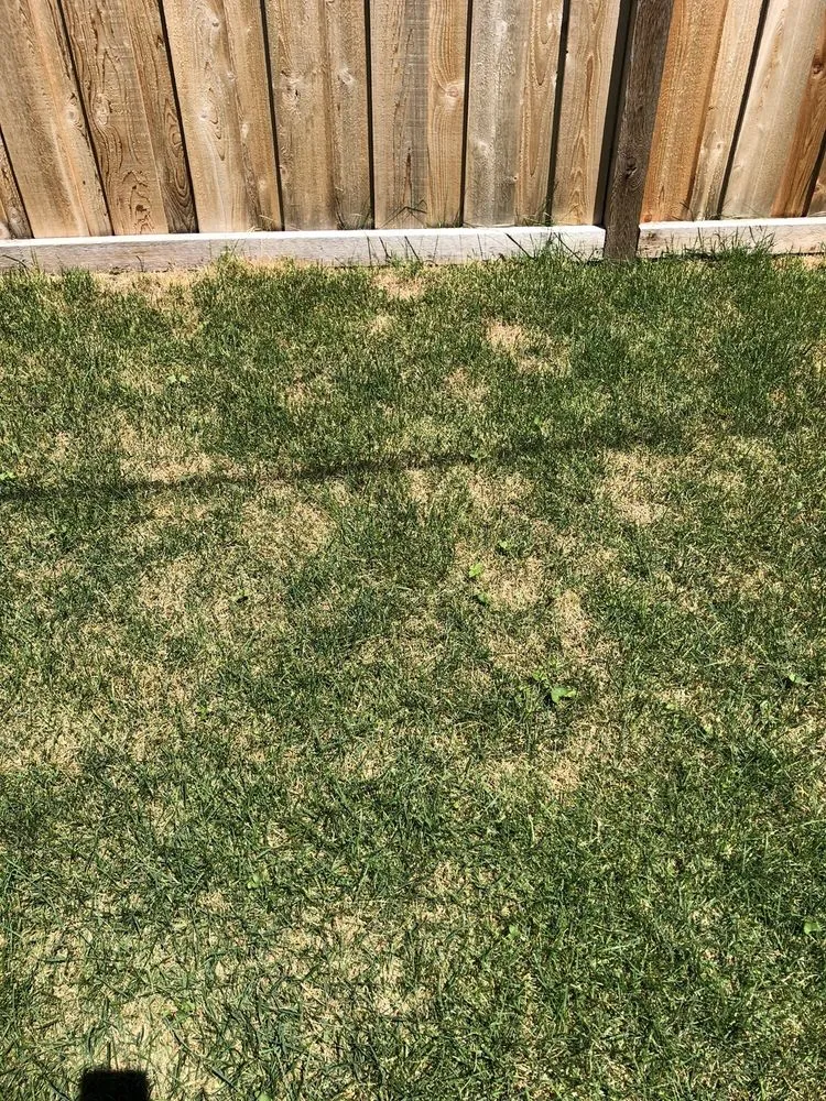 Local garden landscaping experts serving Mokena, IL - SpringGreen