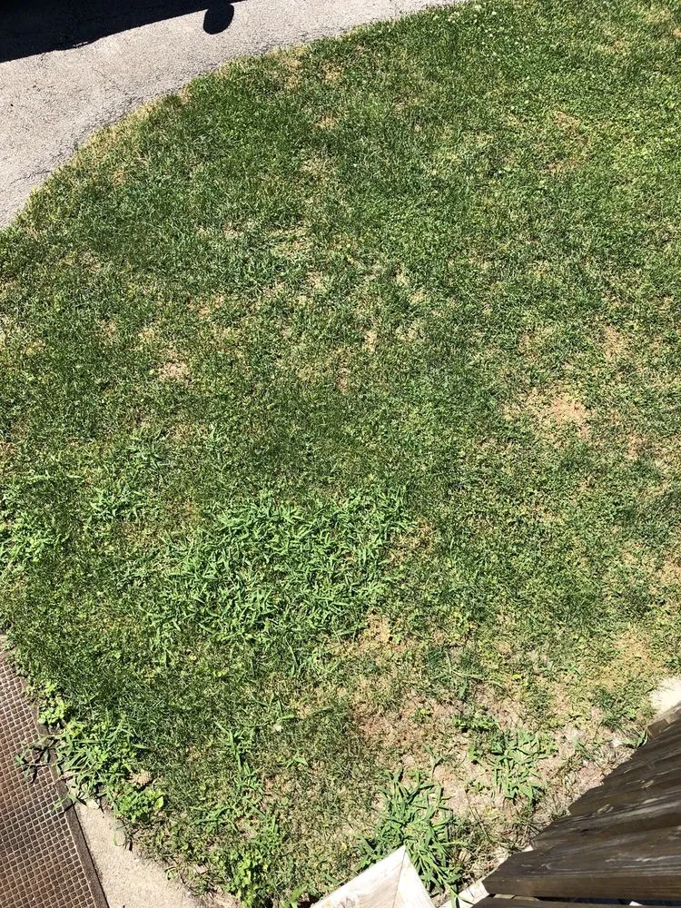 Expert lawn mowing service experts serving Mokena, IL - SpringGreen