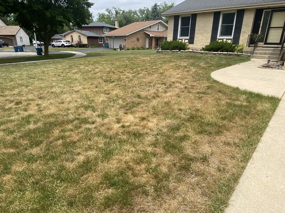 Local landscape design for beautiful yards across Mokena, IL - SpringGreen