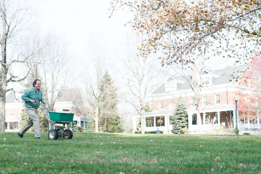 Reliable landscape installation in Noblesville, IN by SpringGreen