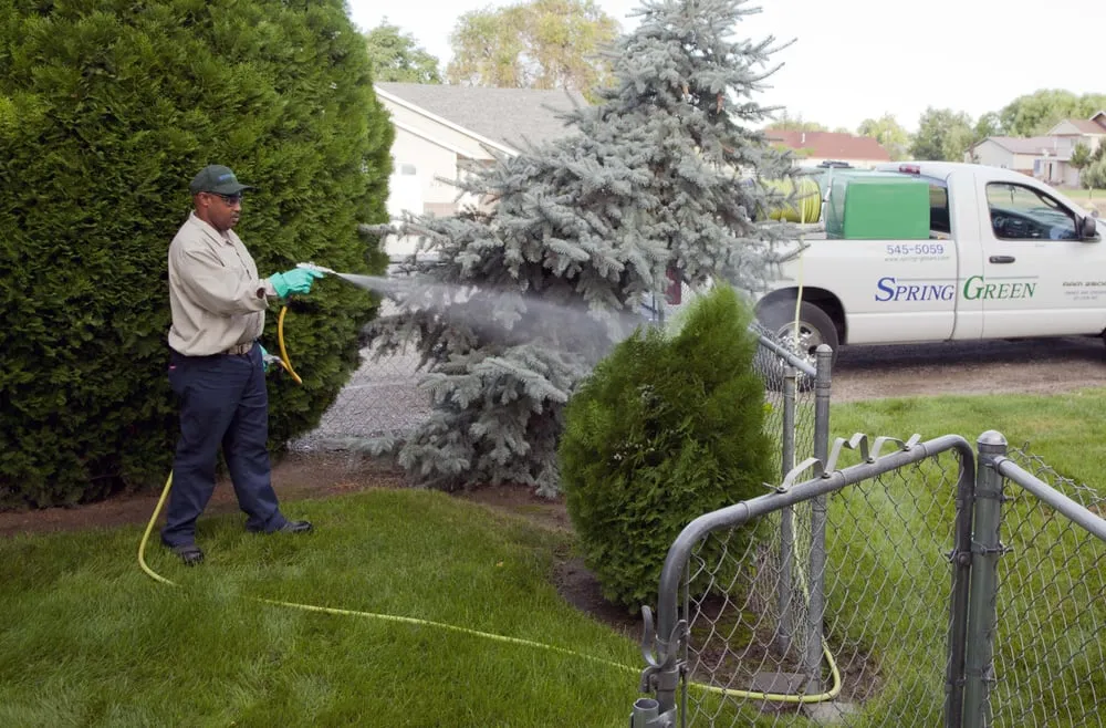 Reliable lawn care service for outdoor upgrades across Pasco, WA - SpringGreen