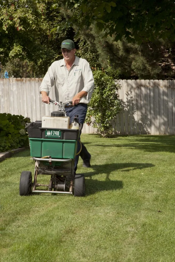 Professional yard cleanup service with custom design across Pasco, WA - SpringGreen