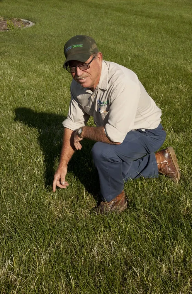 Top-rated landscaping services for homes in Pasco, WA by SpringGreen