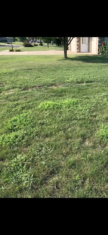 Local lawn mowing service experts serving Peoria, IL - SpringGreen