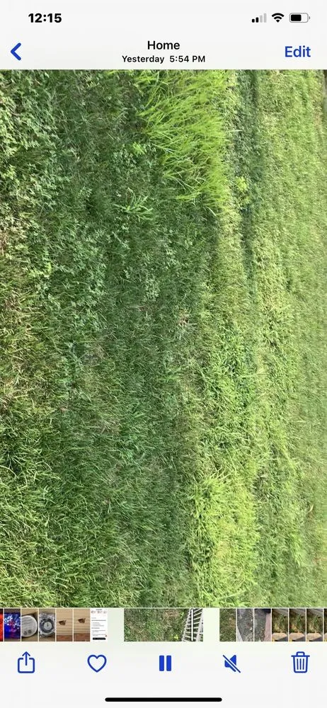 Expert landscaping services in Peoria, IL - SpringGreen