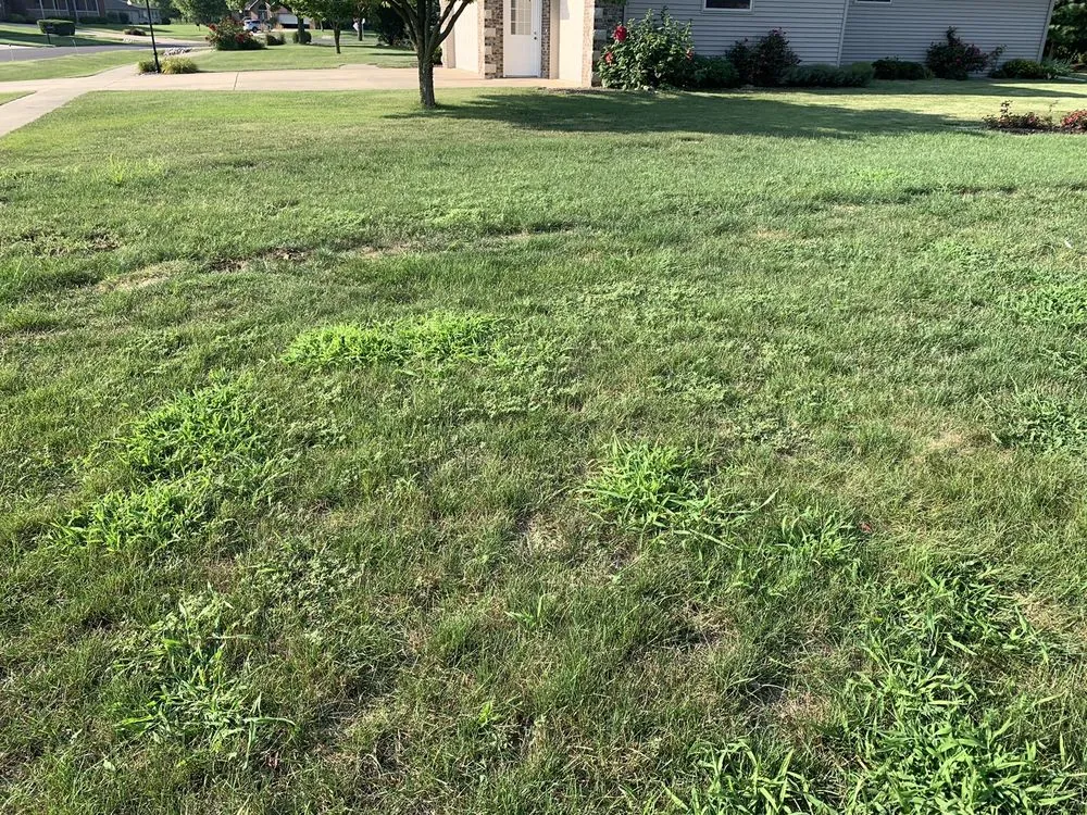 Expert landscape design experts serving Peoria, IL - SpringGreen