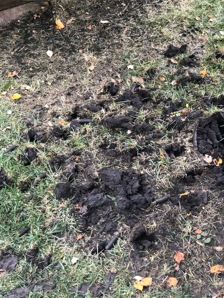 Top-rated outdoor landscaping near you in Plainfield, IL by SpringGreen