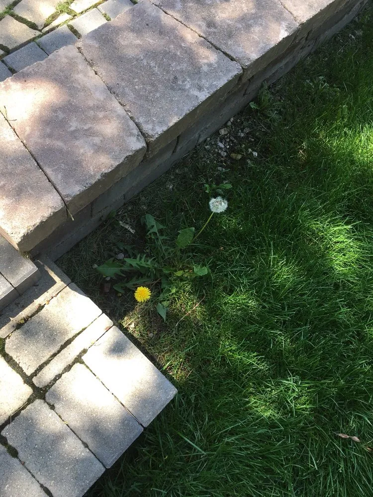 Affordable landscape installation in Plainfield, IL - SpringGreen