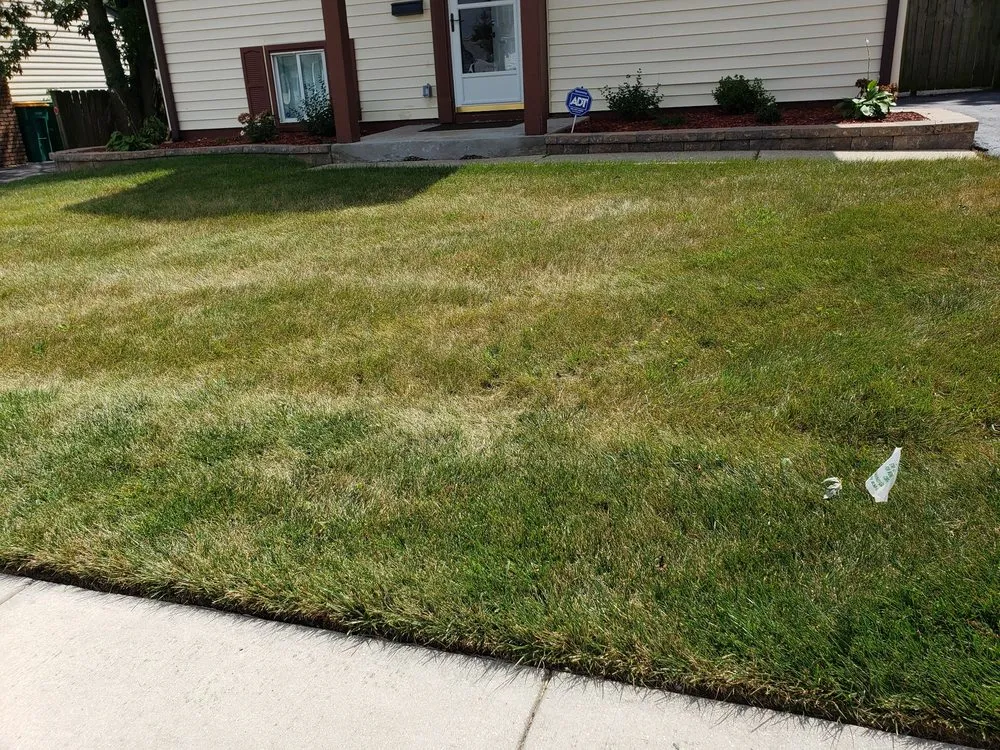 Local landscaping services in Plainfield, IL by SpringGreen