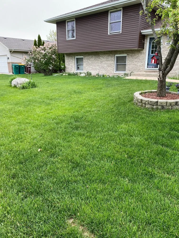 Local yard cleanup service for residential properties across Plainfield, IL - SpringGreen