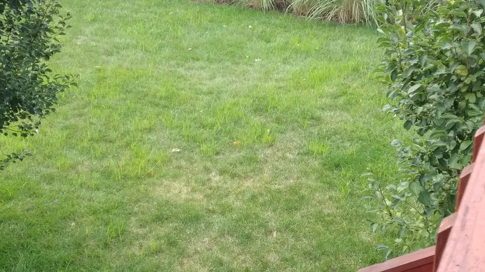 Custom outdoor landscaping in Plainfield, IL - SpringGreen