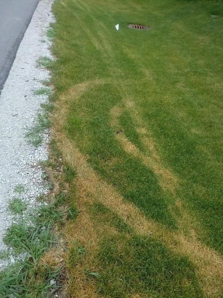 Affordable residential landscaping for residential properties in Plainfield, IL by SpringGreen