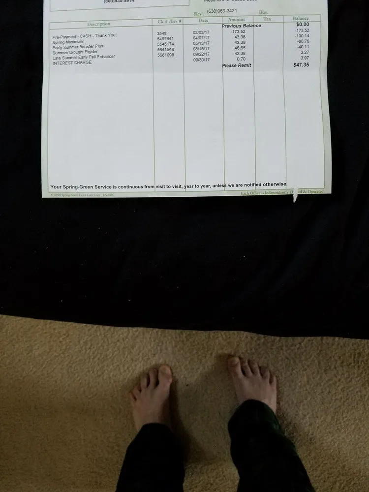 Trusted yard cleanup service in Plainfield, IL - SpringGreen