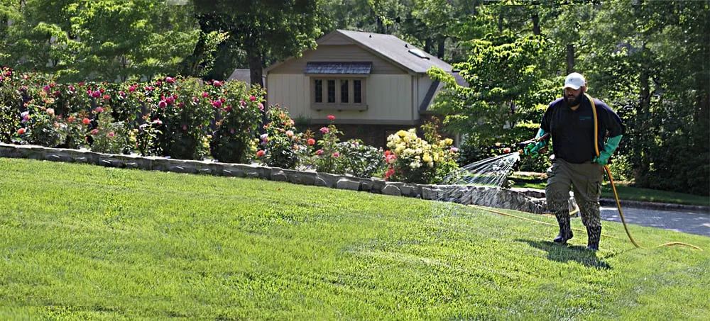 Reliable outdoor landscaping experts serving Raleigh, NC - SpringGreen