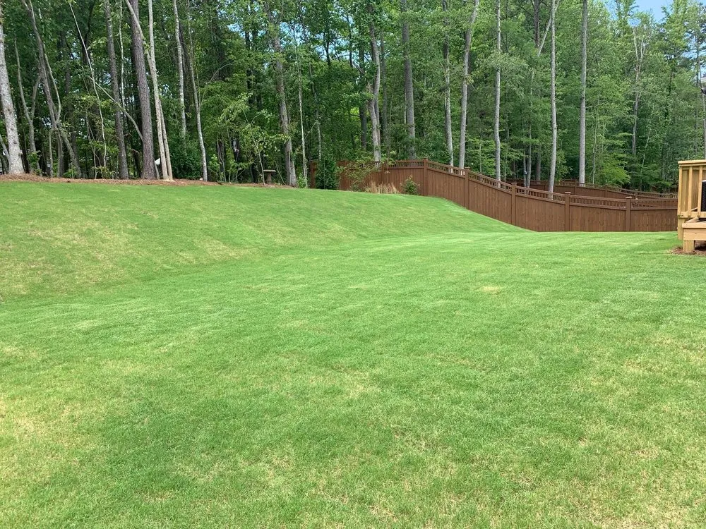 Affordable residential landscaping experts serving Raleigh, NC - SpringGreen