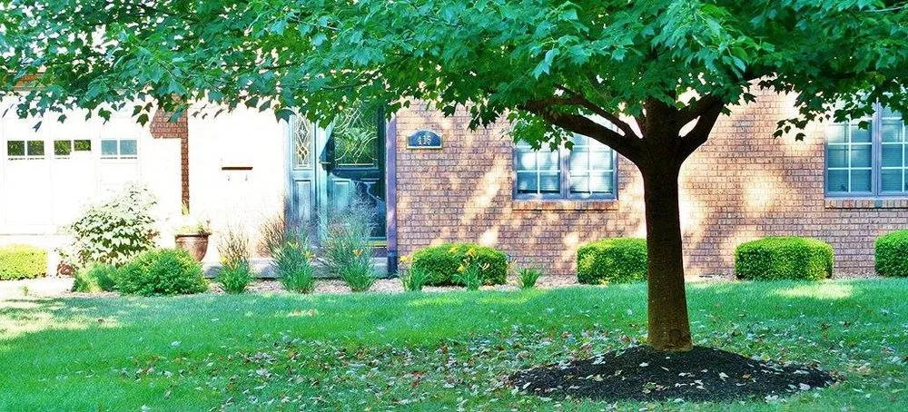 Local landscape design in Richmond, KY by SpringGreen