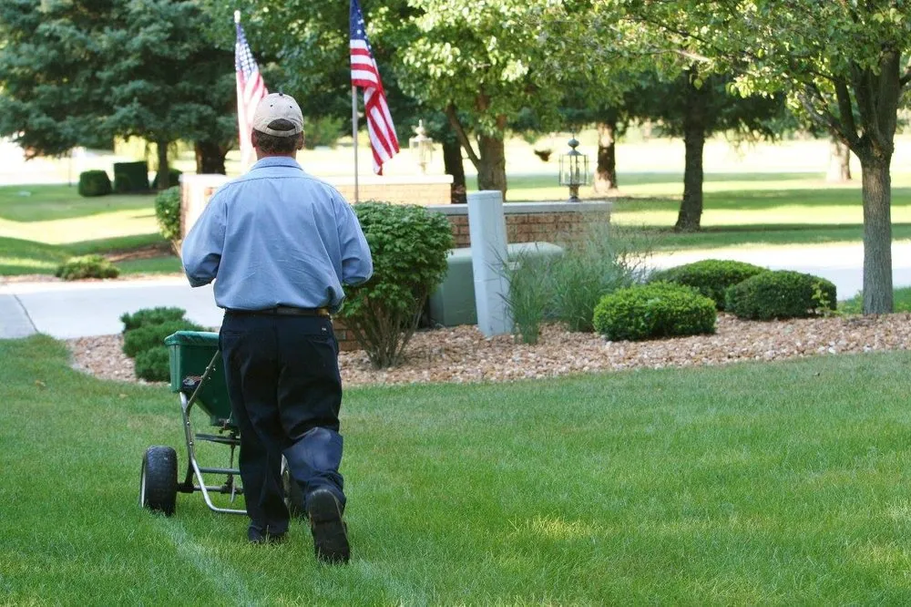 Trusted yard cleanup service for year-round maintenance across Richmond, KY - SpringGreen